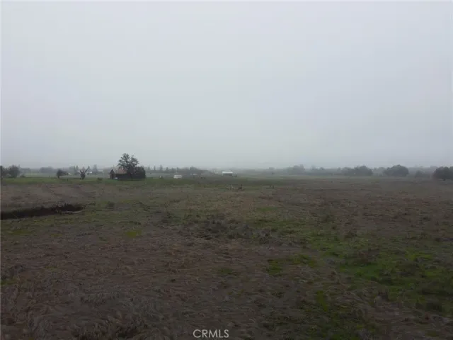 a view of a field with trees in background