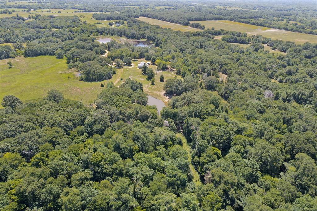 822 Private Road 7370 Point, TX 75472 - Photo 7 of 30 Expansive wooded acreage featuring two visible ponds and cleared areas, offering a mix of dense tree cover and open land