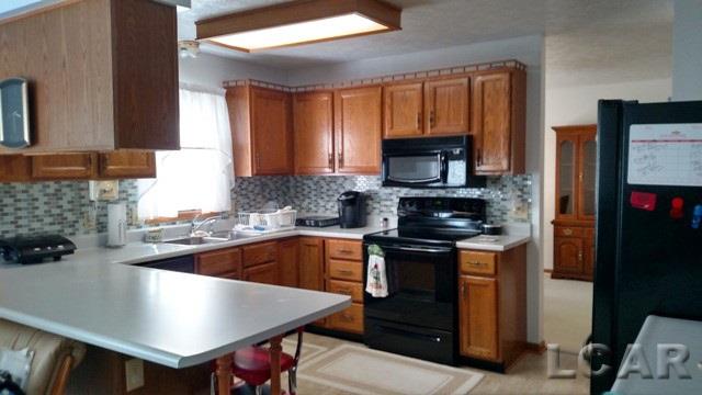 3099 Ives Road Tecumseh, MI 49286 - Photo 9 of 37 Gallery Image 9