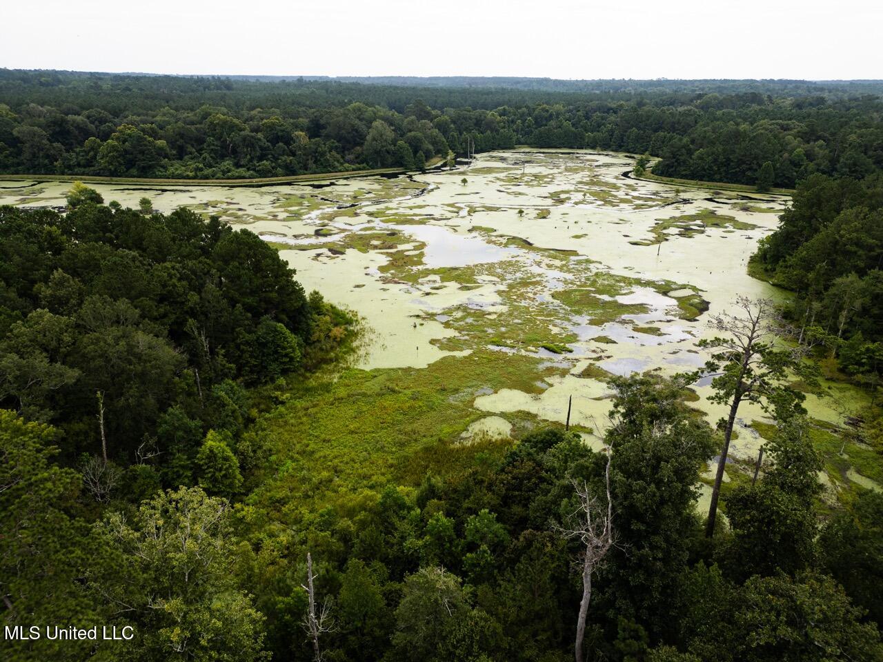 3871 Ms-24 Liberty, MS 39645 - Photo 31 of 47 DJI_0243 Large