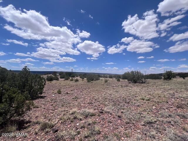 41 Indian Drive Concho, AZ 85924 - Photo 15 of 26 IMG_3680