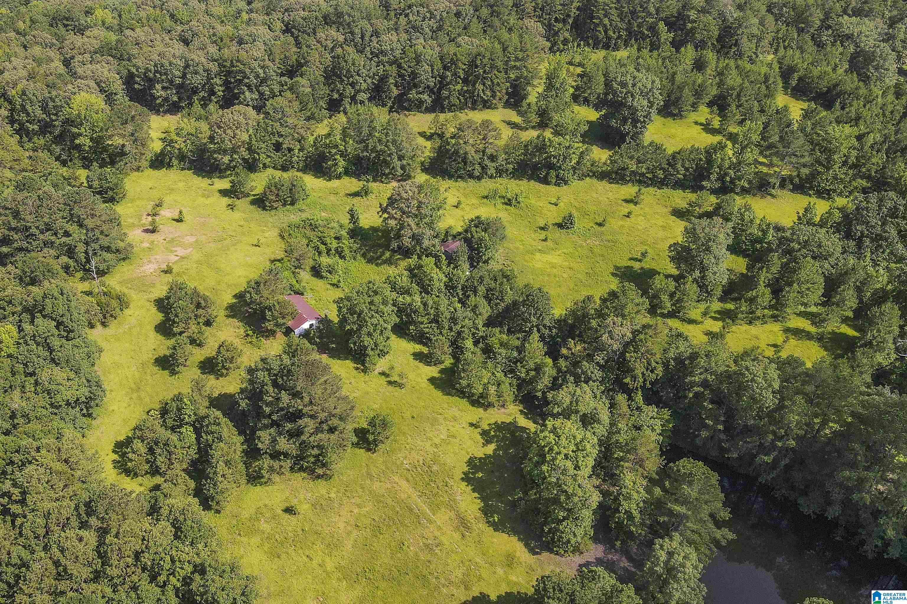 3370 Kirkseys Bend Ohatchee, AL 36271 - Photo 18 of 92