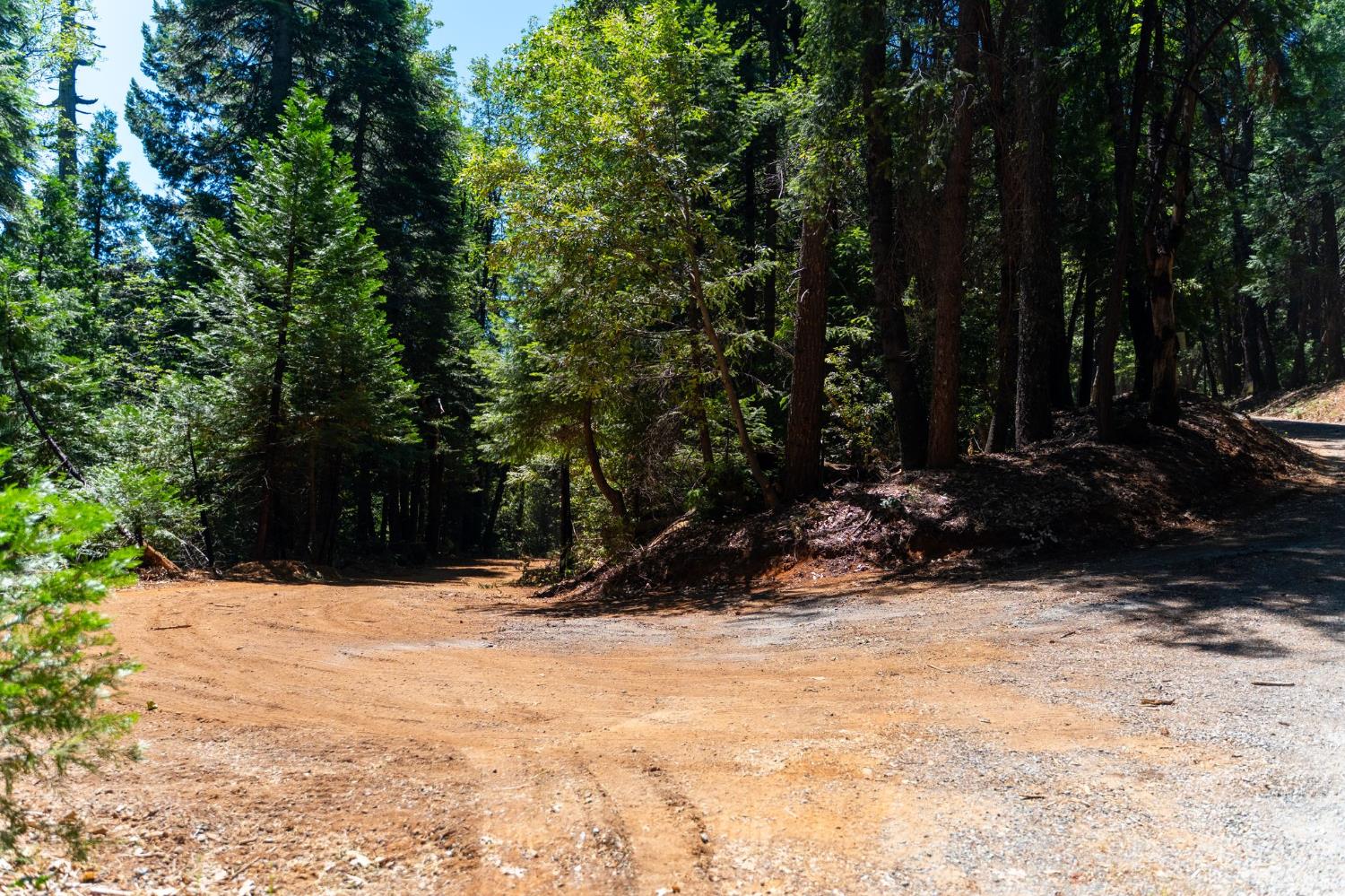 10075 White Fir Road Georgetown, CA 95634 - Photo 14 of 35