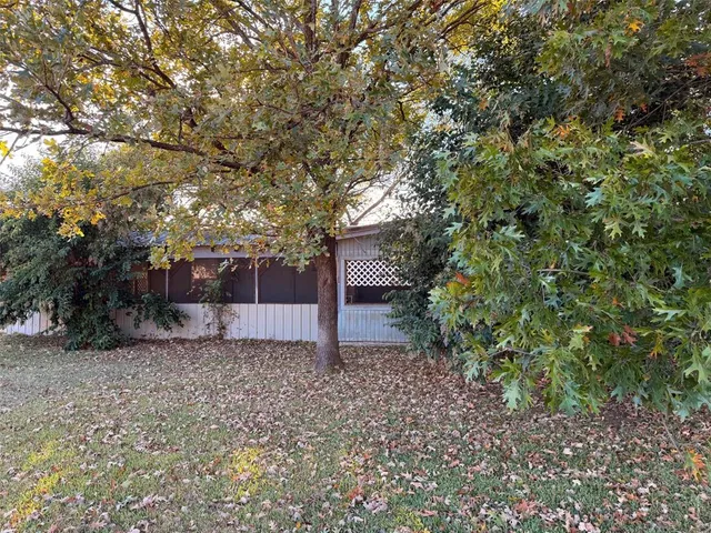 a view of large tree
