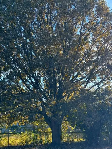 $90,000 | 315 Wildwind Street, Gun Barrel City, TX 75156