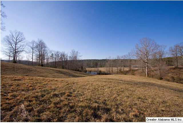 905 Smith Road Oneonta, AL 35121 - Photo 27 of 30