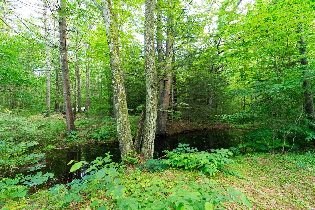 250 Rice Street Athol, MA 01331 - Photo 20 of 24 a view of a garden with plants