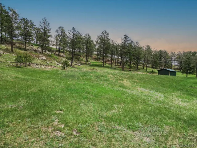 a view of a garden with a slide
