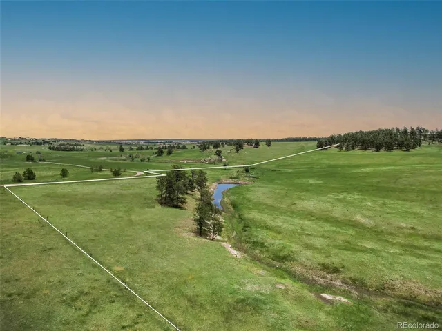 a big yard with lots of green space and deers