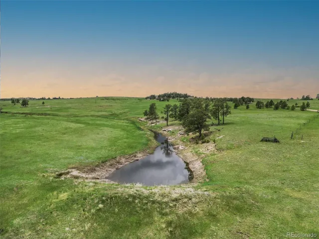 a view of a grassy field with an trees