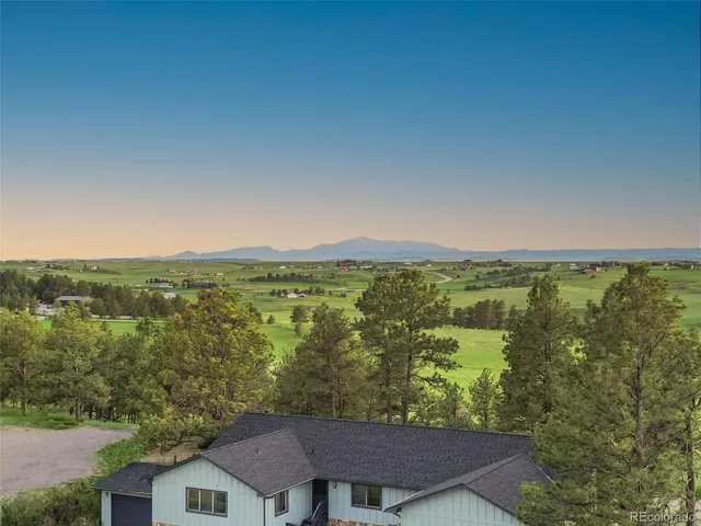 a garden with trees in the background