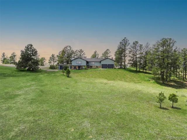 a view of a garden with a tree
