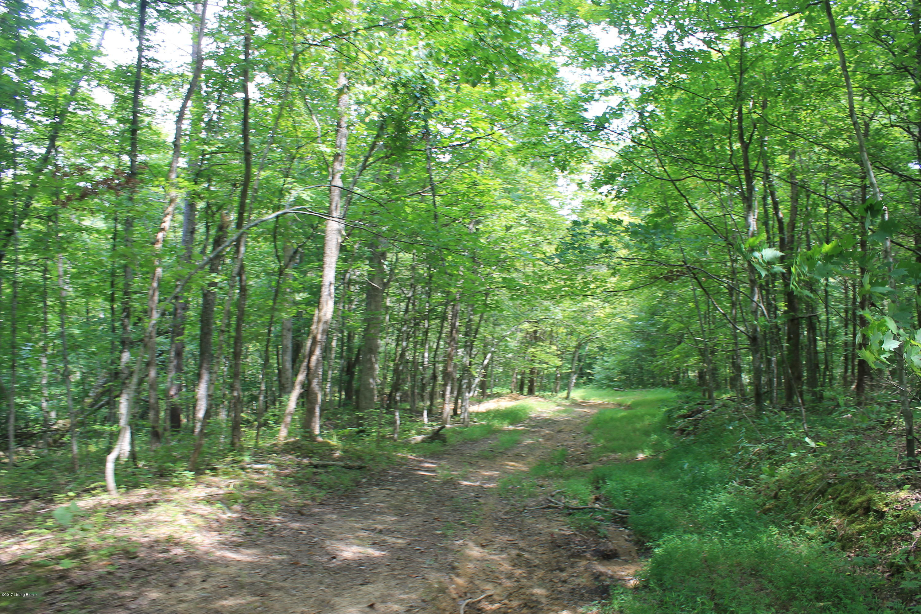 848 Sego Road Mount Eden, KY 40046 - Photo 29 of 48 IMG_7513