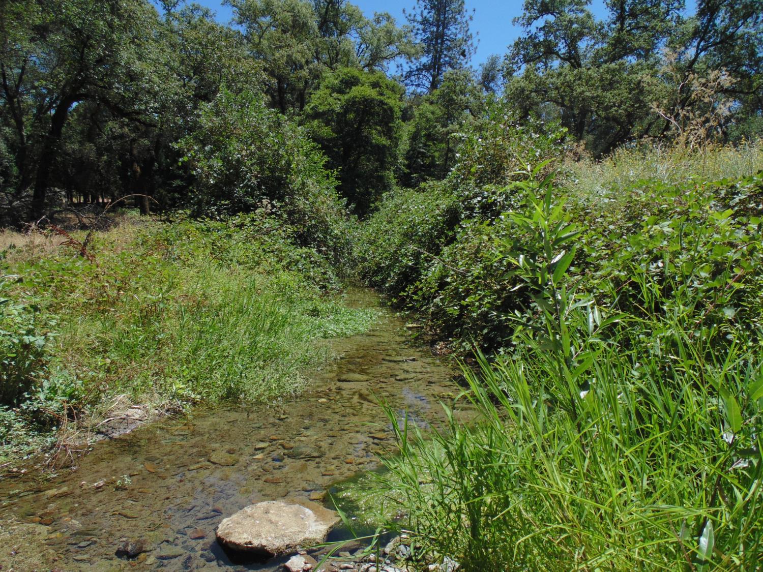 1148 Lotus Road Placerville, CA 95667 - Photo 1 of 24 Gallery Image 1