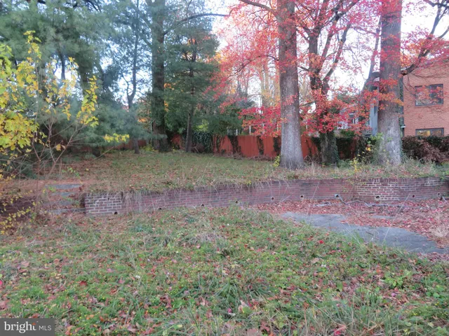 a view of a yard with a tree