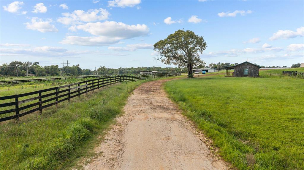 3216 Old Ewing Road Lufkin, TX 75901 - Photo 10 of 24 Gravel driveway leading through expansive green pastures