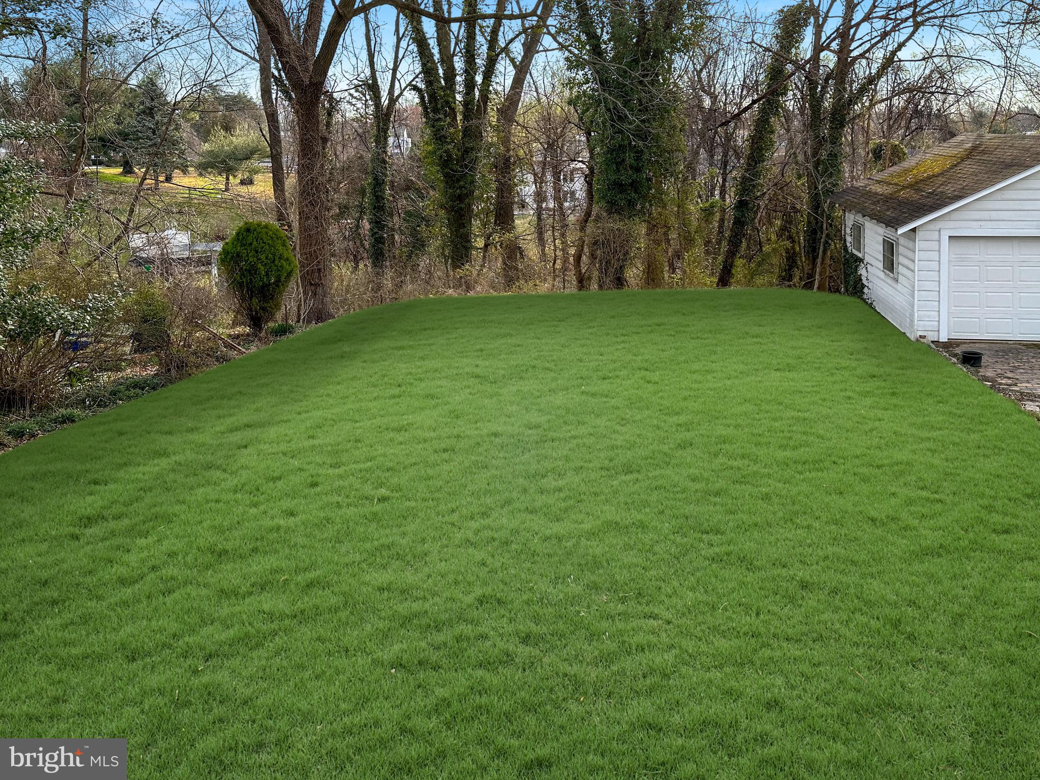 1007 Main Street Brookhaven, PA 19015 - Photo 21 of 21 View From Back Deck