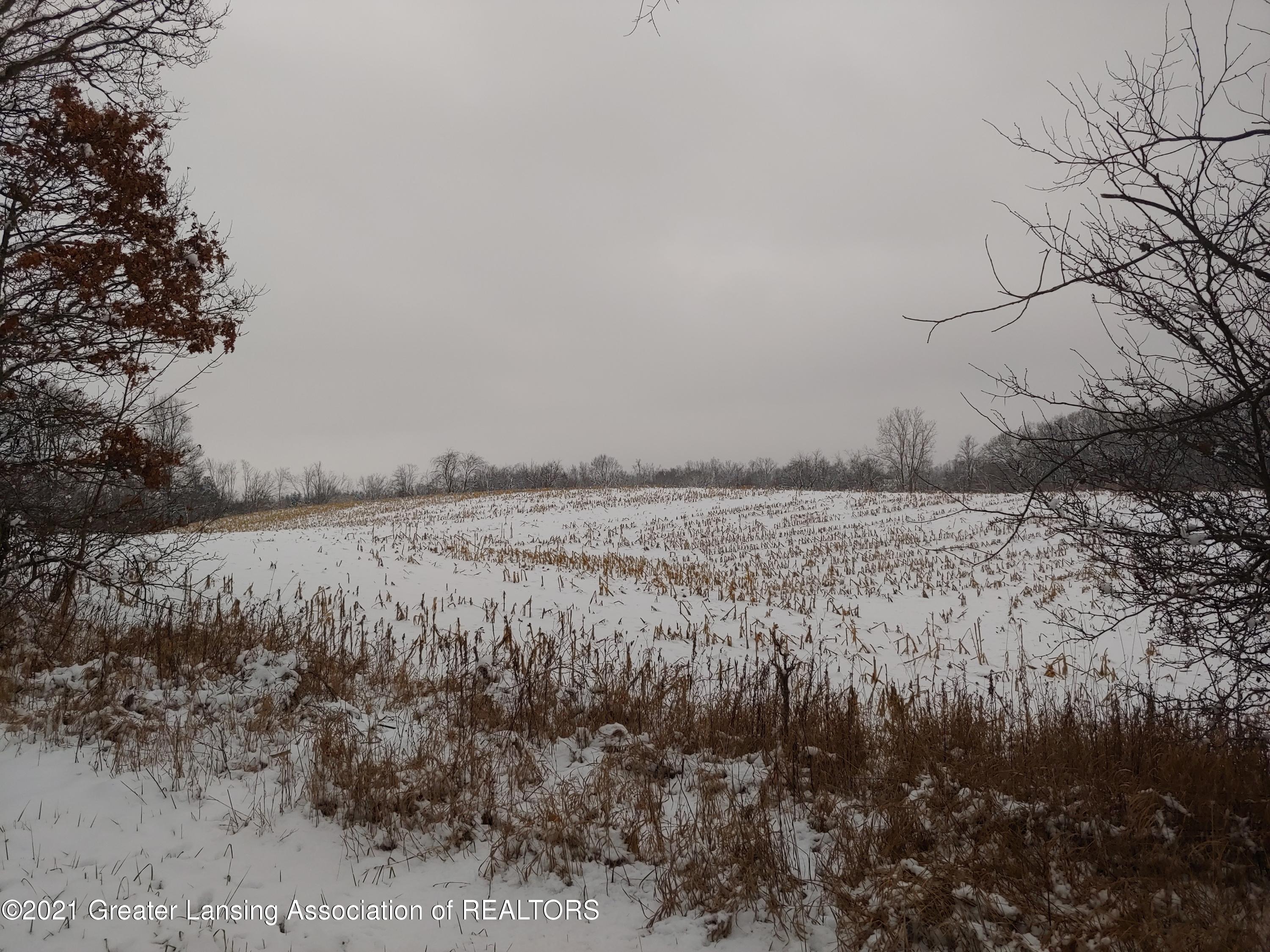 6439 Zimmer Road Haslett, MI 48840 - Photo 1 of 1 Front Photo