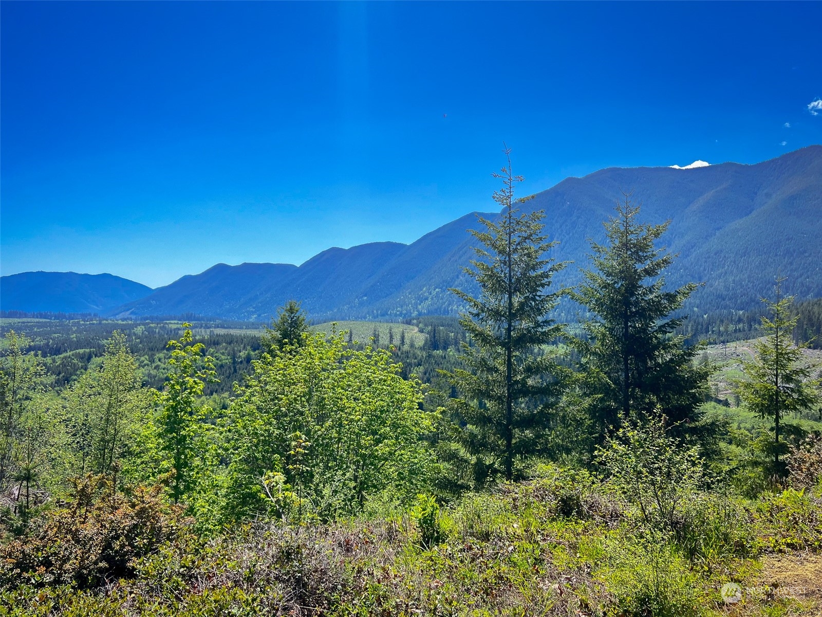 445 Elkhorn Ridge Road Quilcene, WA 98376 - Photo 3 of 11 a view of a city with lush green forest