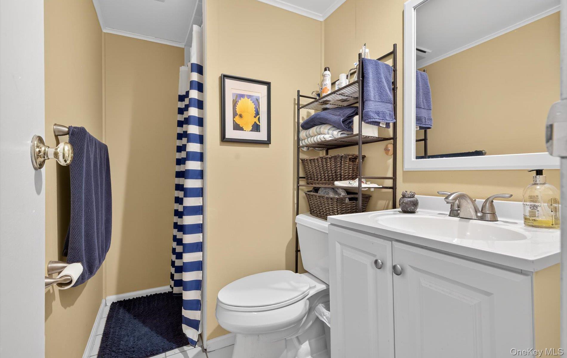 7 Ransom Avenue Sea Cliff, NY 11579 - Photo 36 of 42 a bathroom with a sink toilet and shower