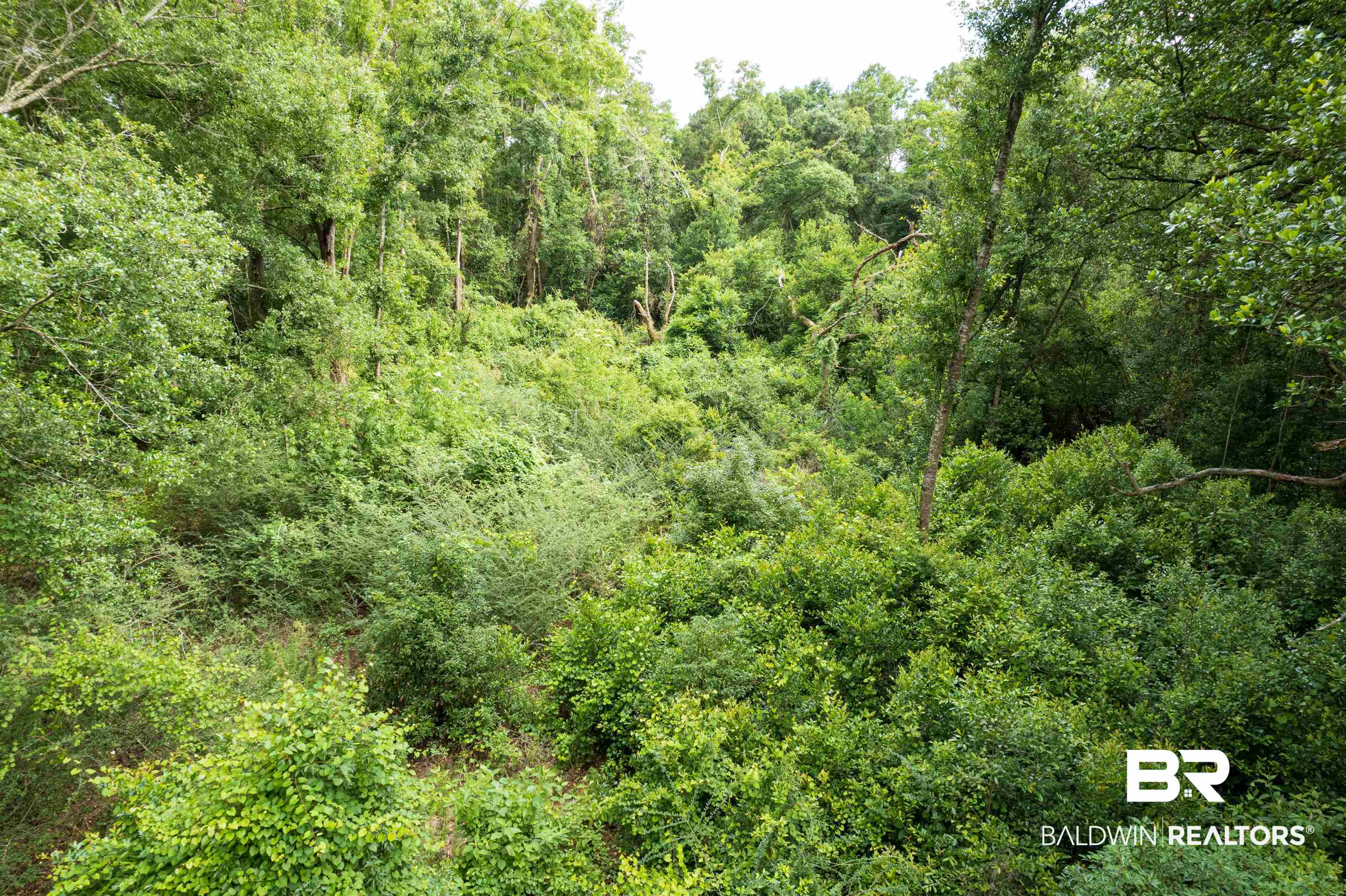 6861 Barnes Road Theodore, AL 36582 - Photo 8 of 12
