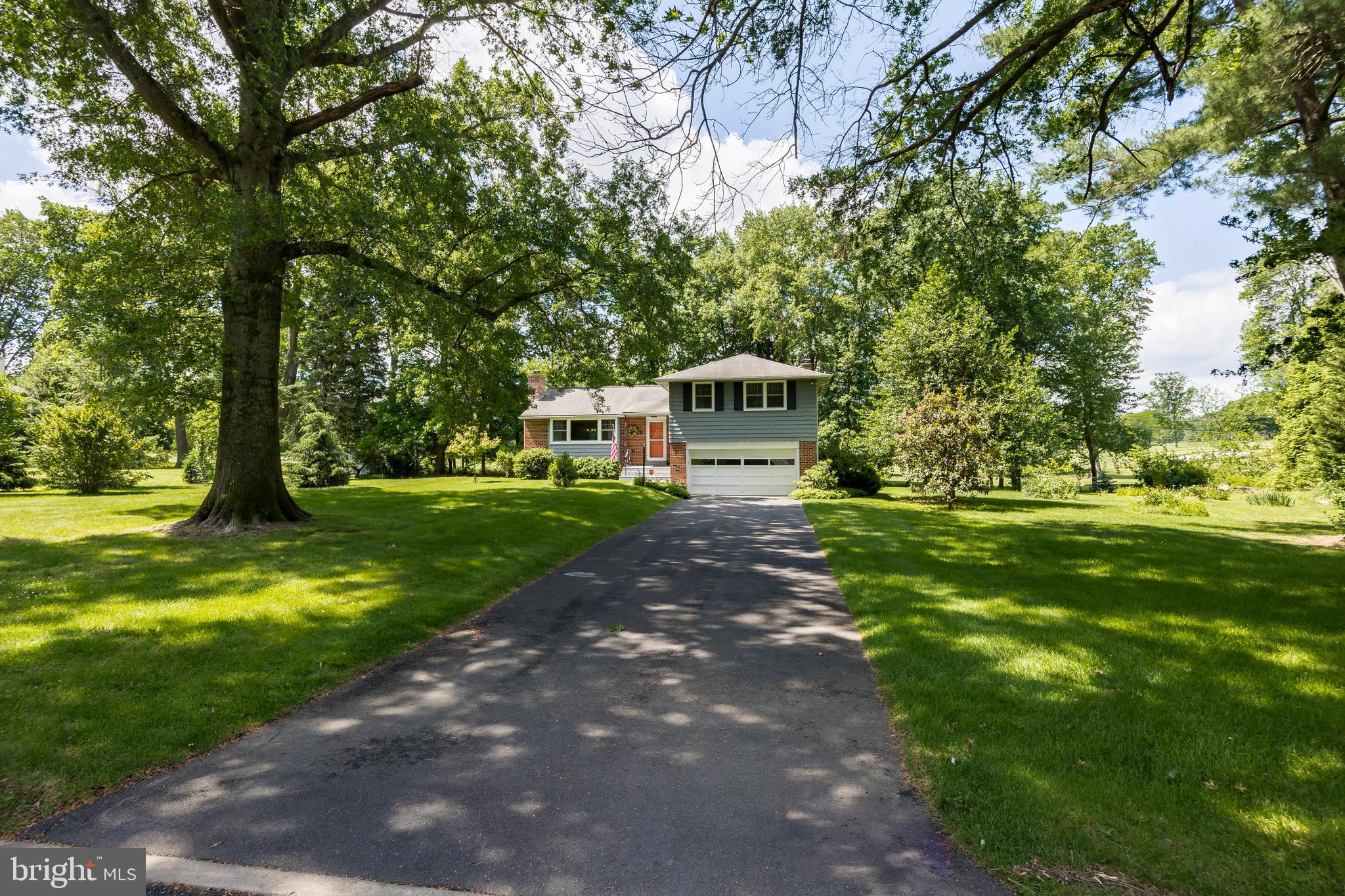 310 Llewellyn Road Ambler, PA 19002 - Photo 5 of 47 Long Driveway