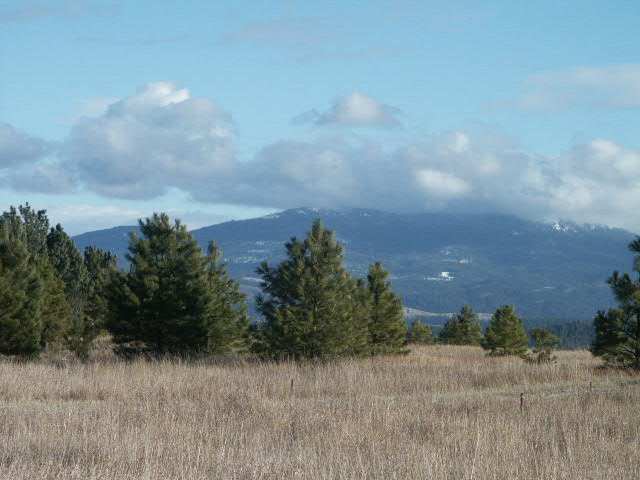 303 East Wild Rose Road Colbert, WA 99005 - Photo 4 of 4