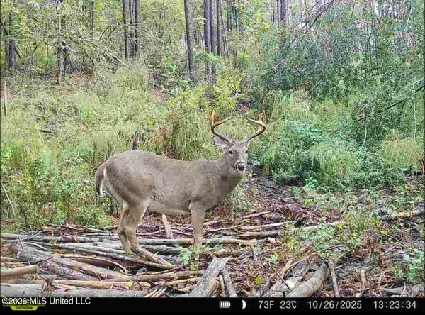 $97,500 | Northwest Union Road Southeast, Brookhaven, MS 39601