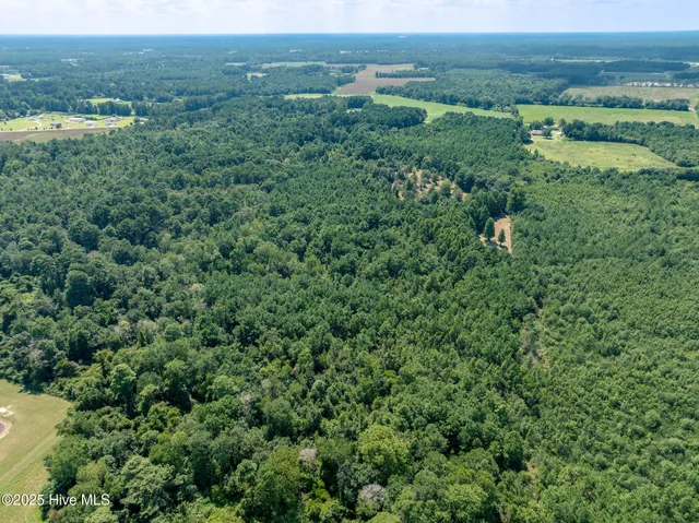 $321,100 | Tbd (1951 Tbd (1951 Carrtown Drive, Rose Hill, NC 28458