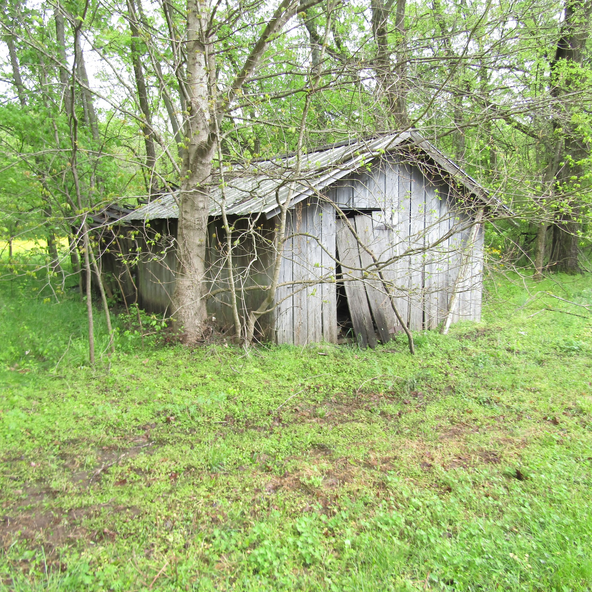 2351 Valley Creek Road Culleoka, TN 38451 - Photo 14 of 22 Gallery Image 14