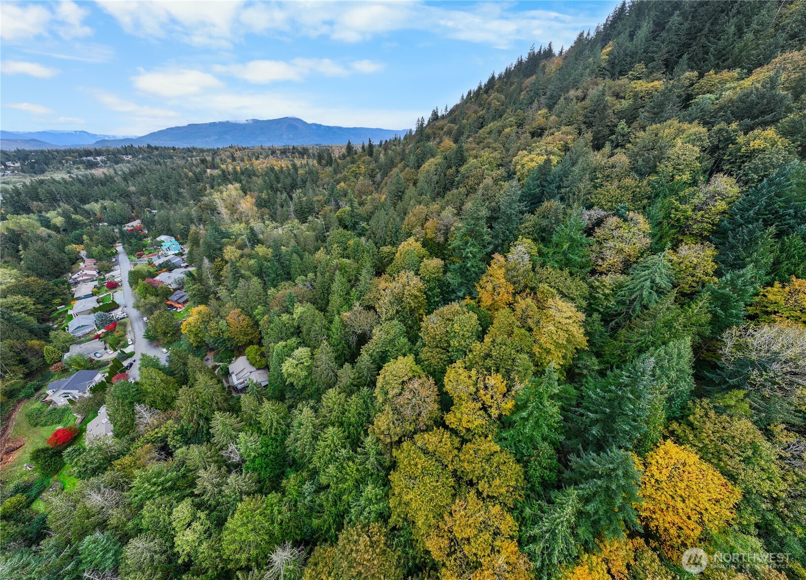a view of a city with lush green forest
