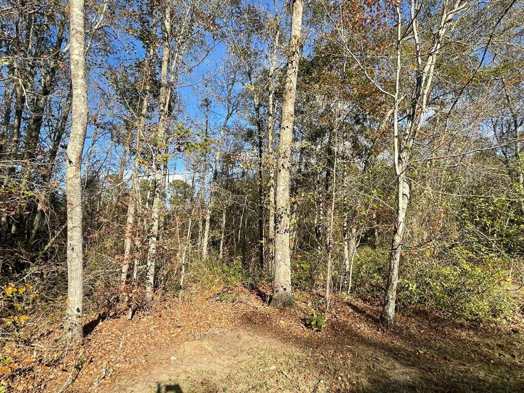 6095 Ramsey Road Sumter, SC 29154 - Photo 25 of 32 Gallery Image 25