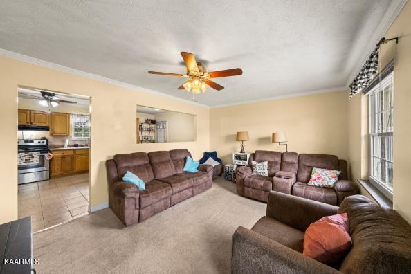 3371 Blue Springs Road Strawberry Plains, TN 37871 - Photo 6 of 16 Living Room