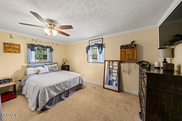 3371 Blue Springs Road Strawberry Plains, TN 37871 - Photo 7 of 16 Master