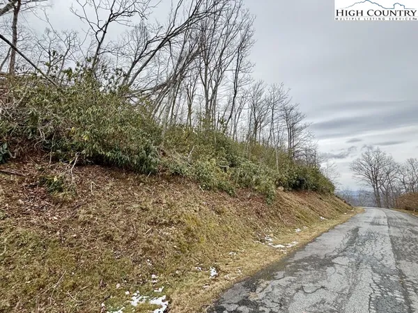 a view of backyard with green space