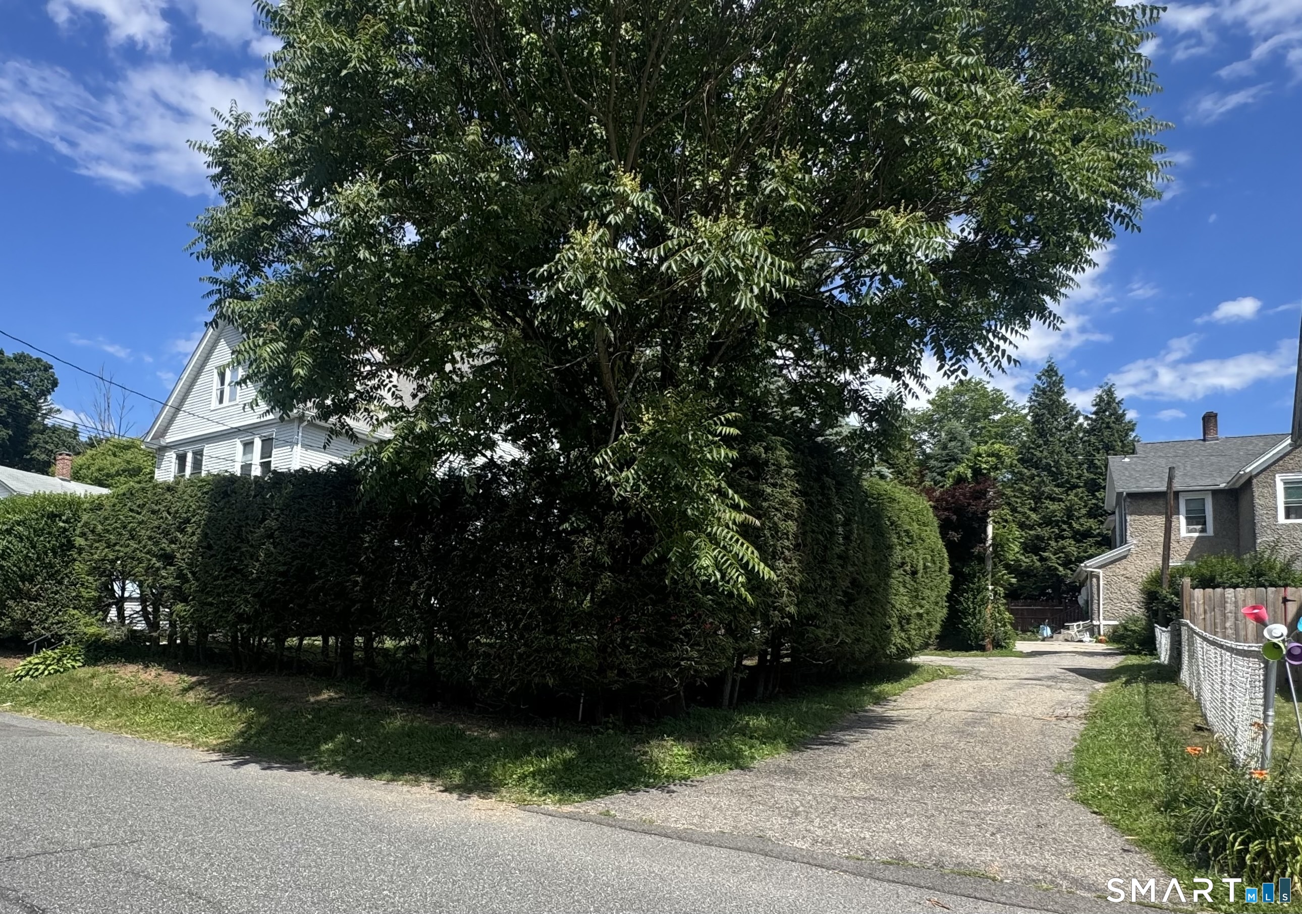 104 Prospect Street Ansonia, CT 06401 - Photo 3 of 40 a view of a street with potted plants and large trees