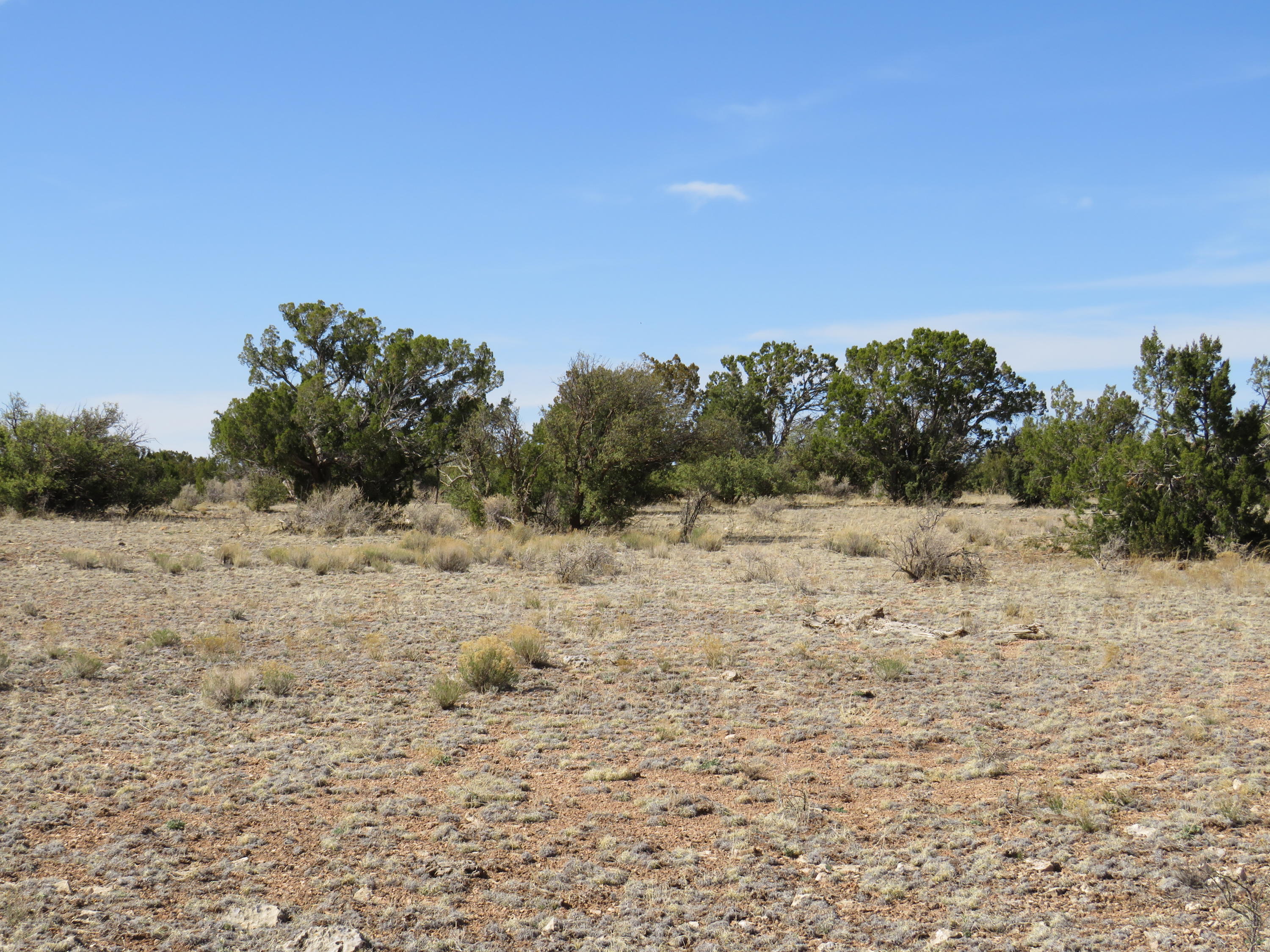 1125 Red Butte Road Williams, AZ 86046 - Photo 14 of 20 IMG_0796 - Copy