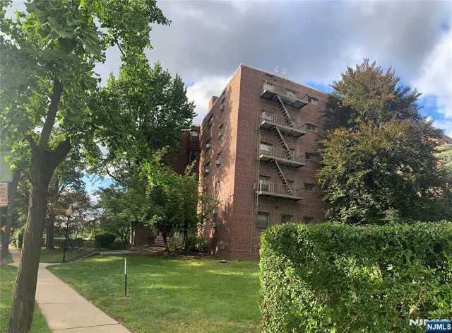 a backyard of a building with large trees and plants