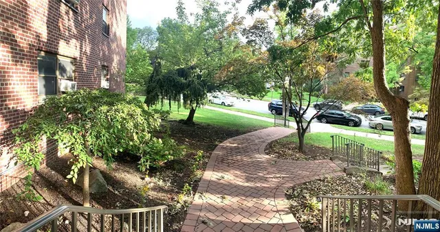a view of a tree in front of a house