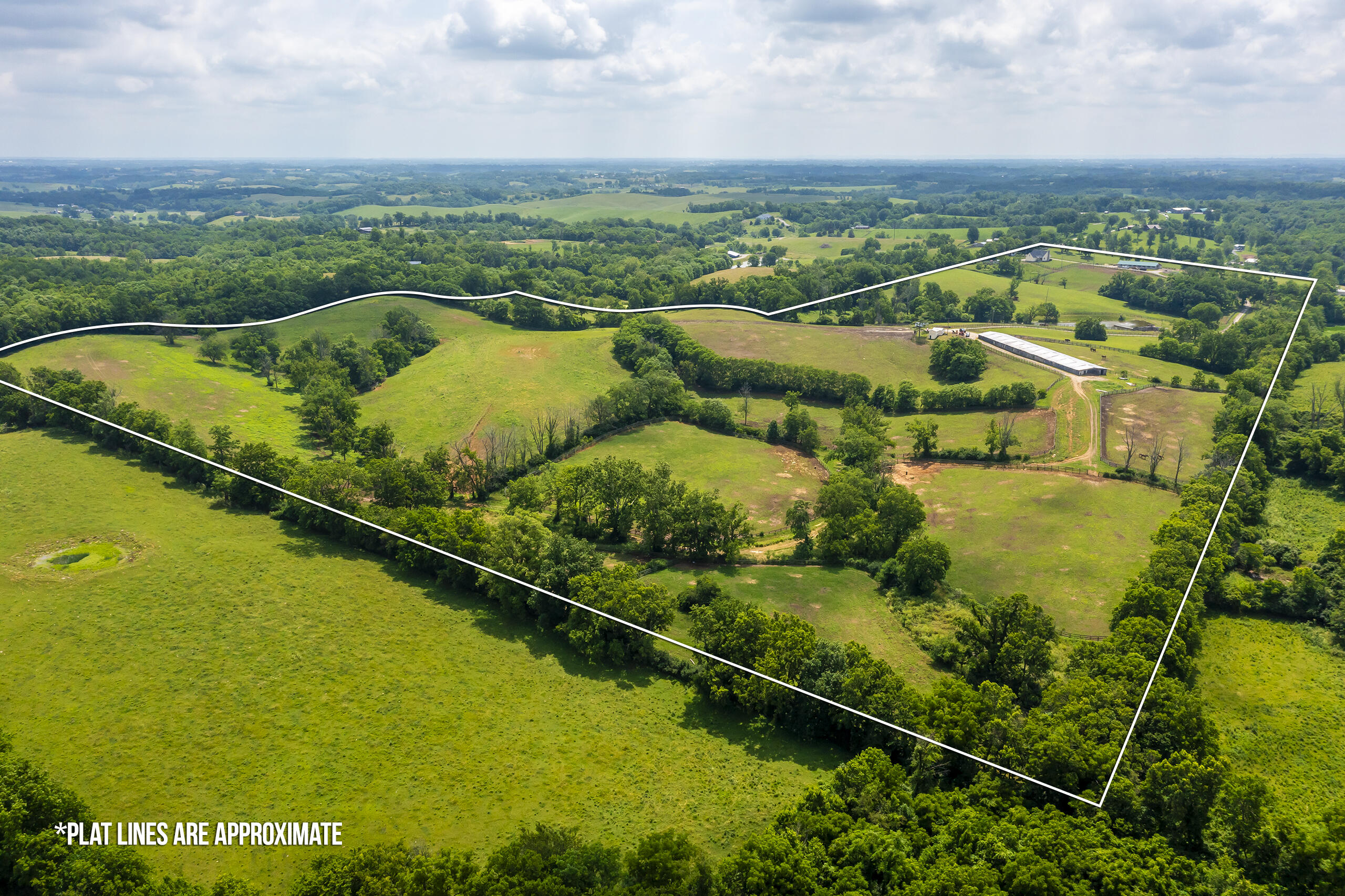 493 Levy Road Paris, KY 40361 - Photo 45 of 49 493levy01