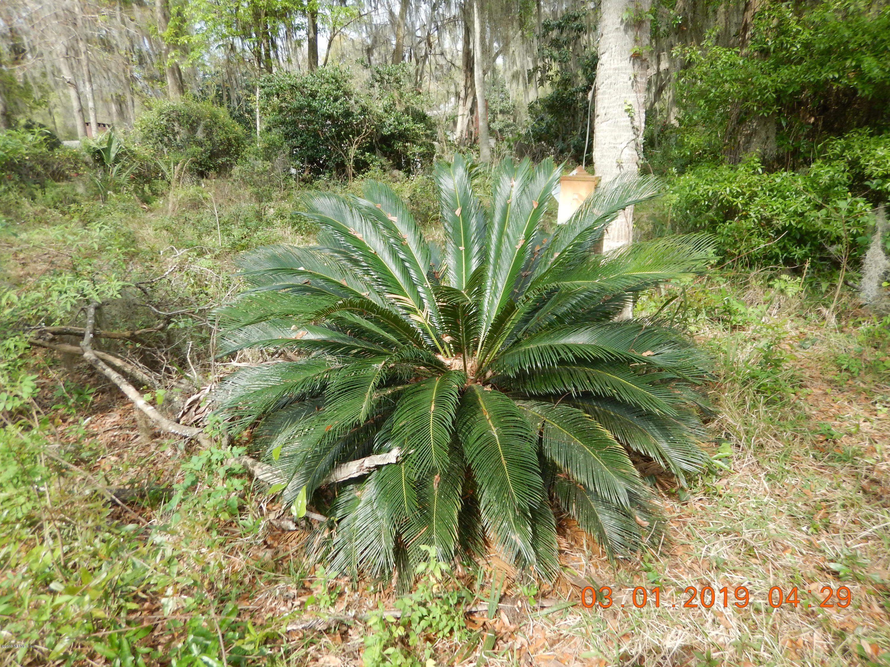 117 McMeekin Road Hawthorne, FL 32640 - Photo 13 of 25 DSCN1990