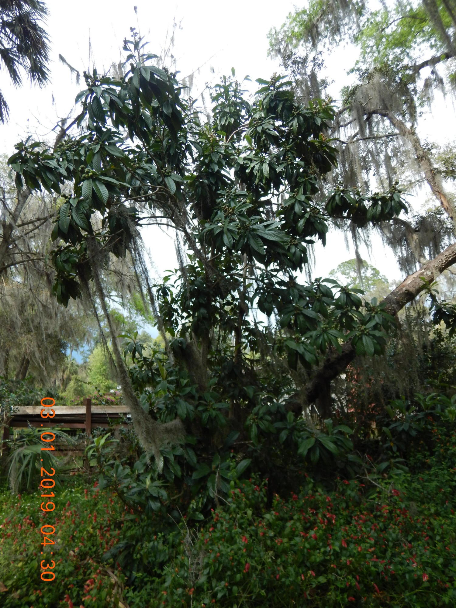 117 McMeekin Road Hawthorne, FL 32640 - Photo 14 of 25 DSCN1991