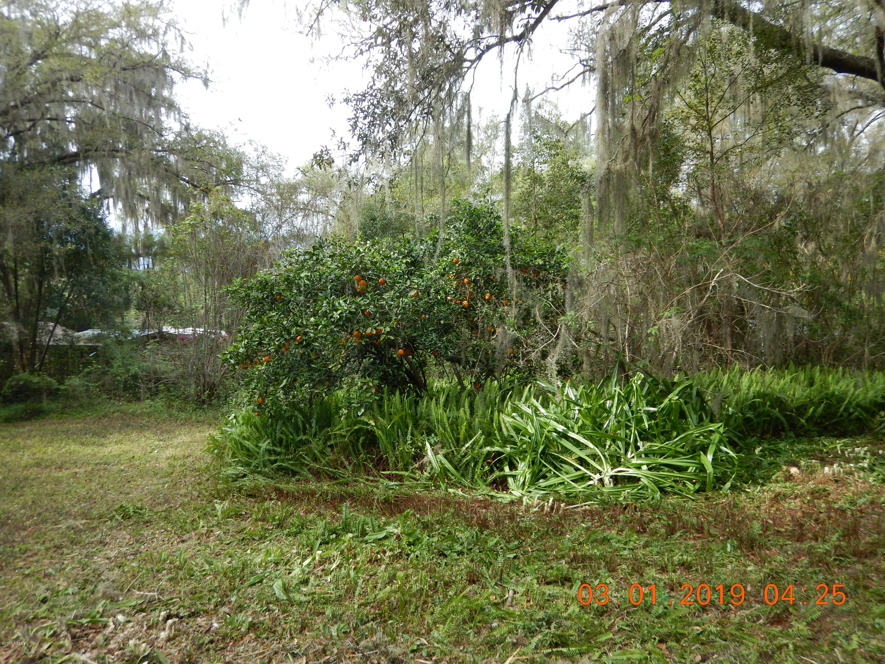 117 McMeekin Road Hawthorne, FL 32640 - Photo 6 of 25 DSCN1980