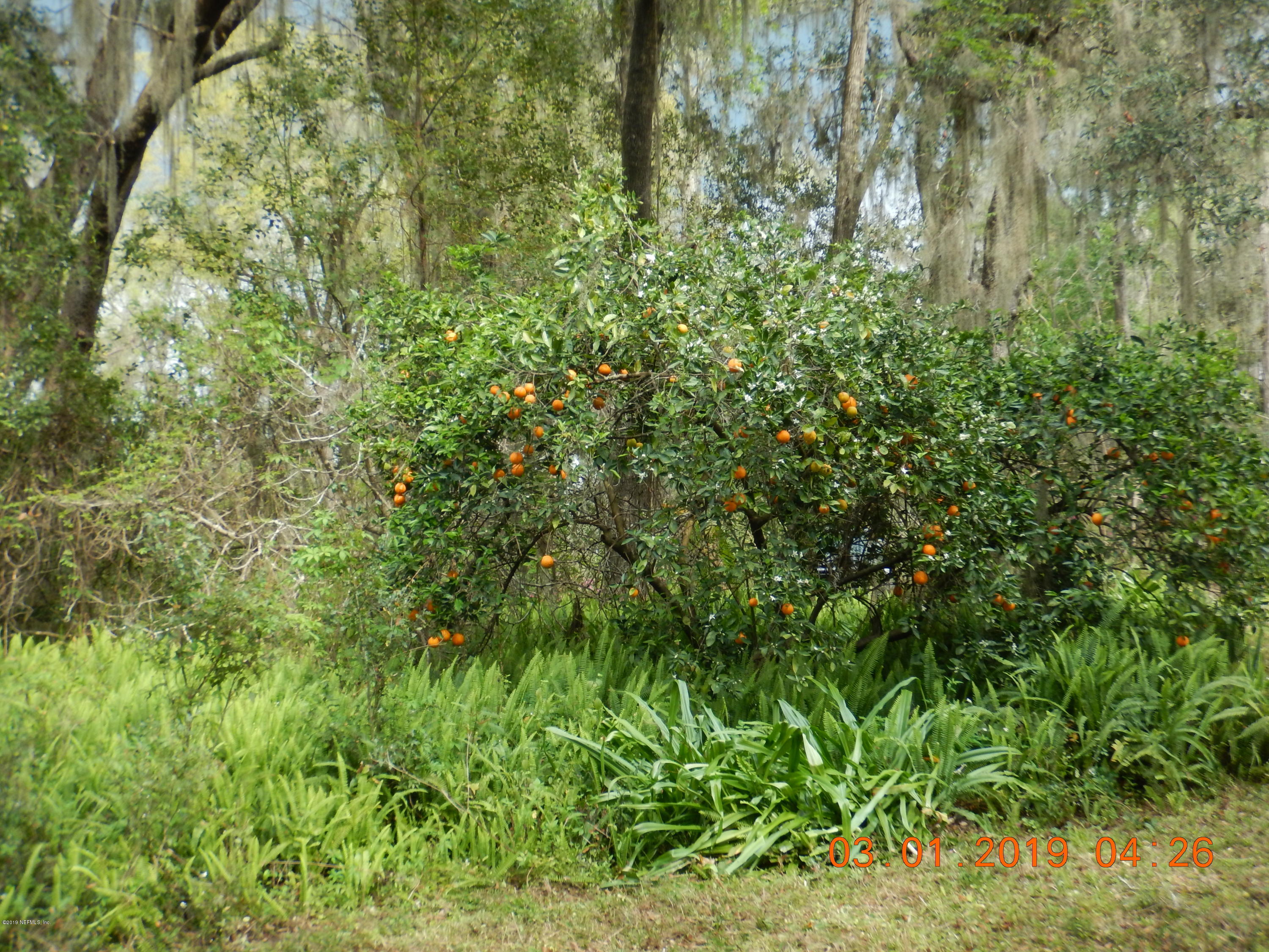 117 McMeekin Road Hawthorne, FL 32640 - Photo 7 of 25 DSCN1982