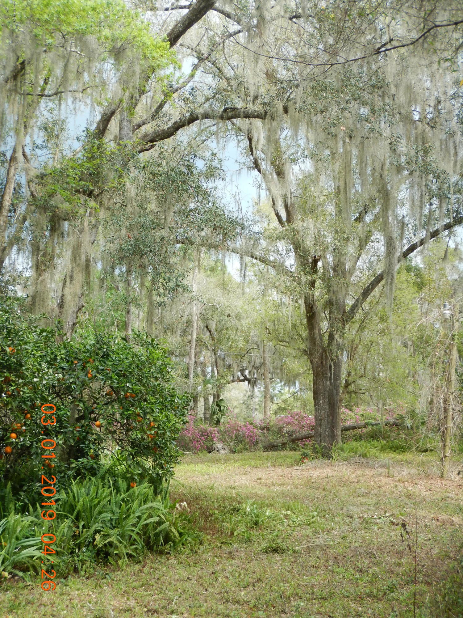 117 McMeekin Road Hawthorne, FL 32640 - Photo 8 of 25 DSCN1983