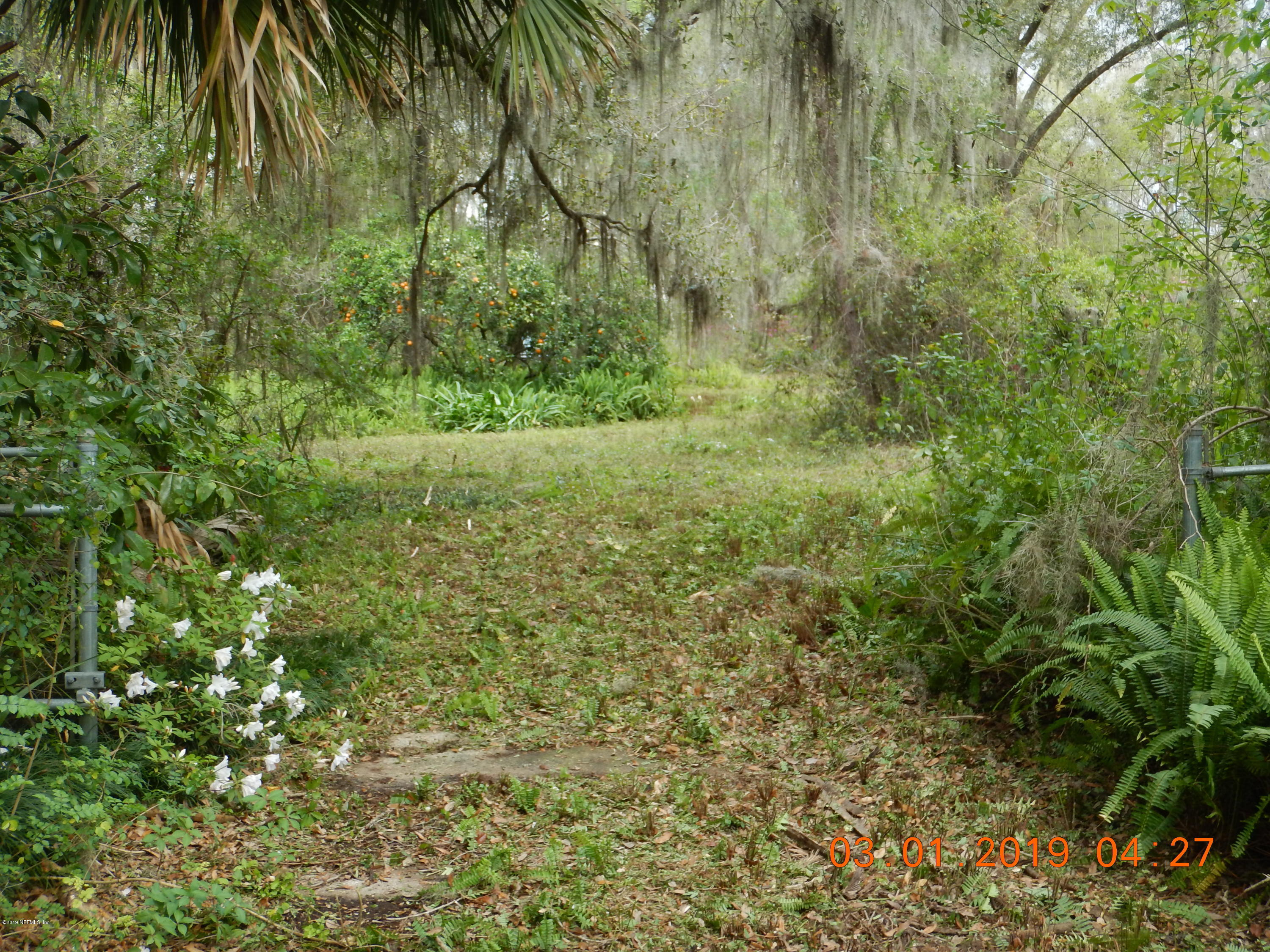 117 McMeekin Road Hawthorne, FL 32640 - Photo 9 of 25 DSCN1984