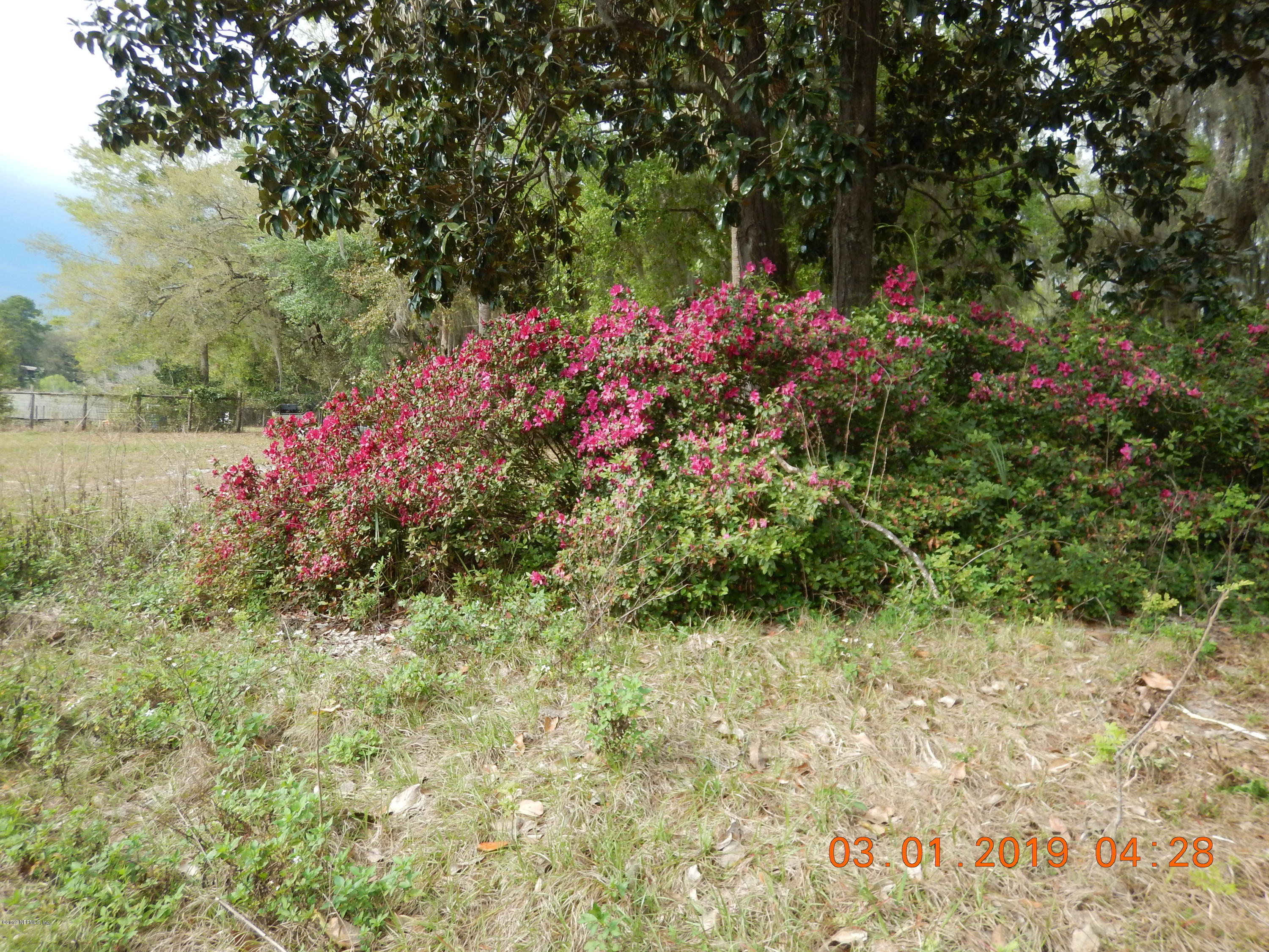 117 McMeekin Road Hawthorne, FL 32640 - Photo 10 of 25 DSCN1987