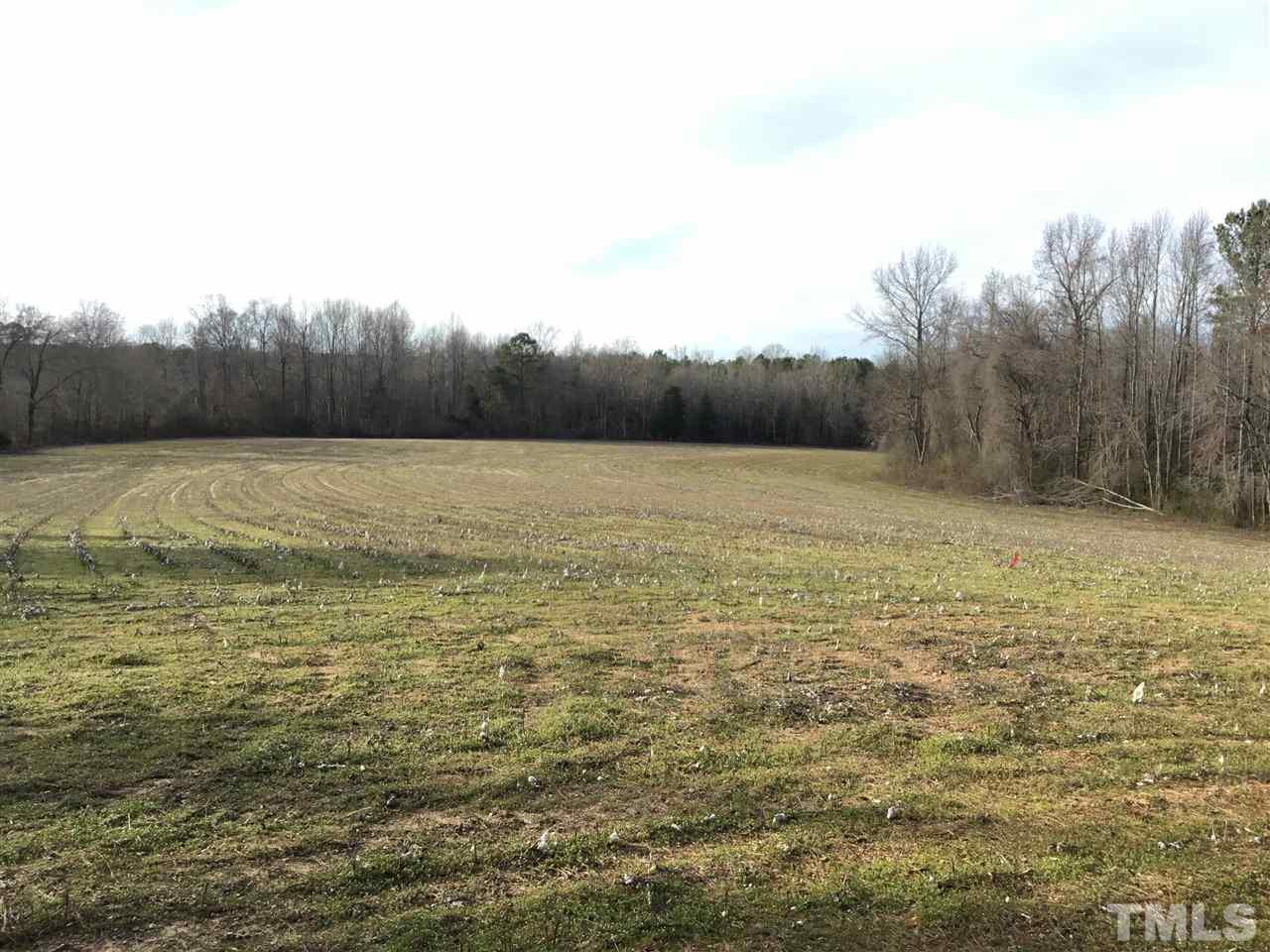 1245 Old Stage Road North Coats, NC 27521 - Photo 3 of 4