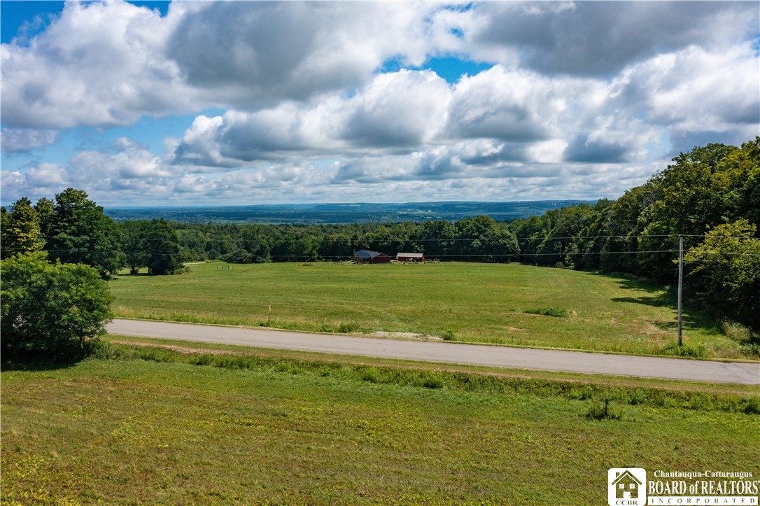Davison Road Cherry Creek, NY 14723 - Photo 3 of 13 Gallery Image 3