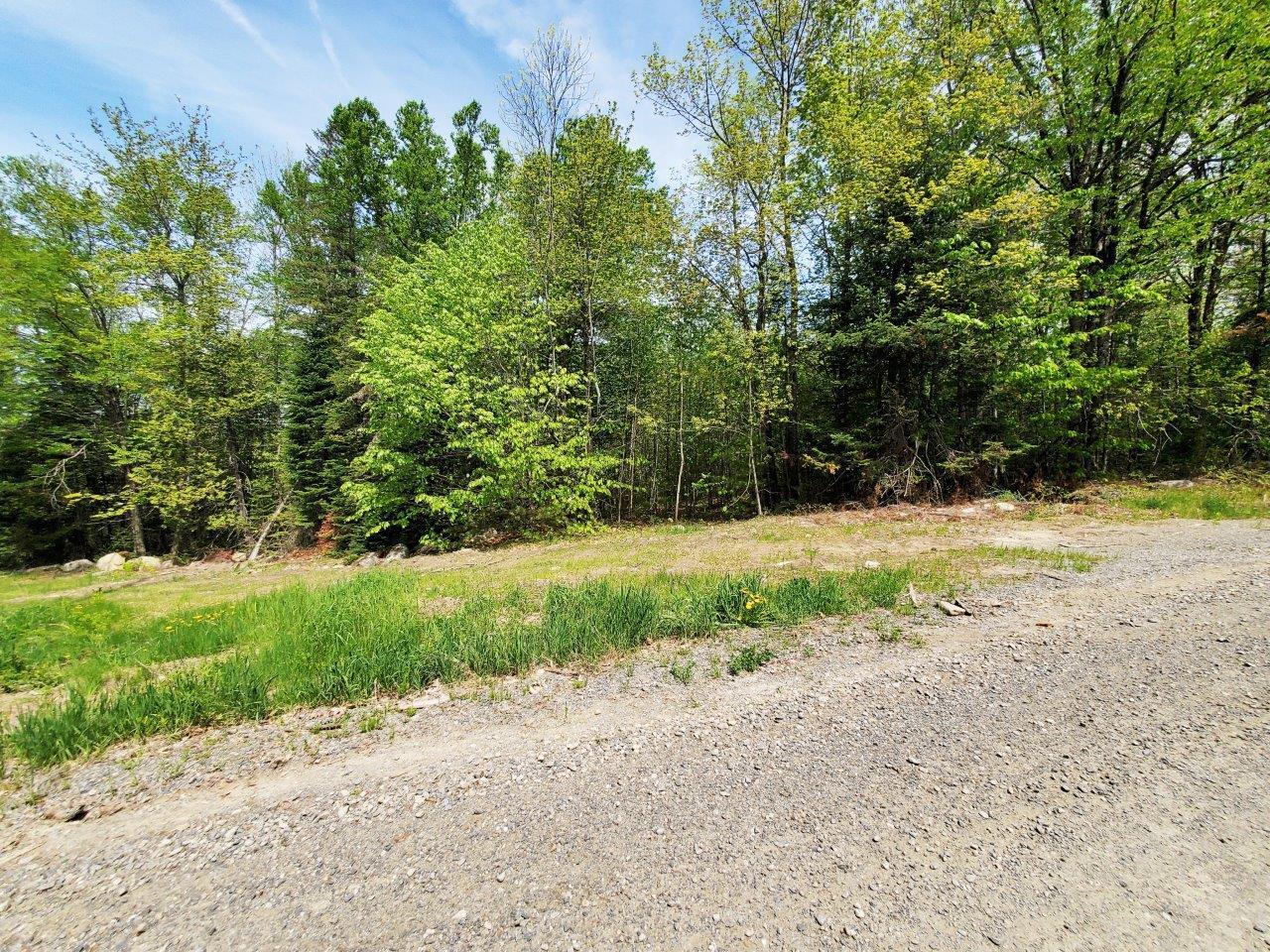 Lot 5 Maple Road Milo, ME 04463 - Photo 16 of 20 20260523_135240 adj
